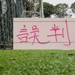 第七期裁判评议：武汉三镇点球误判！浙江进球无效错判！|浙江队|青岛西海岸|上海海港|青岛市|足协_新浪体育_新浪新闻
